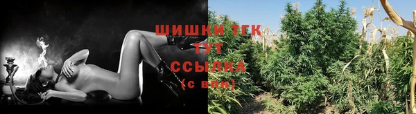 spice Заволжье