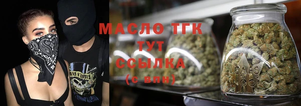 стаф Елизово