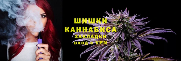 ПСИЛОЦИБИНОВЫЕ ГРИБЫ Елабуга