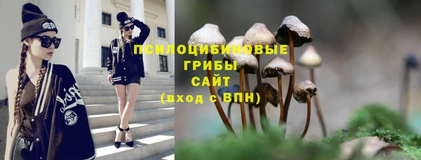 ПСИЛОЦИБИНОВЫЕ ГРИБЫ Елабуга