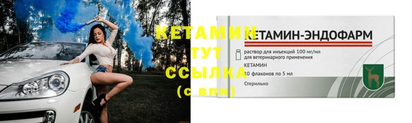 стаф Елизово