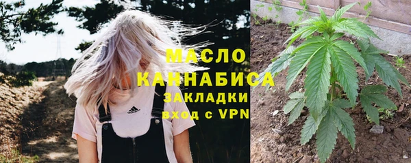 стаф Елизово