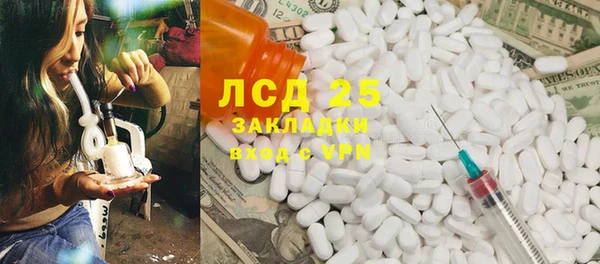 ПСИЛОЦИБИНОВЫЕ ГРИБЫ Елабуга