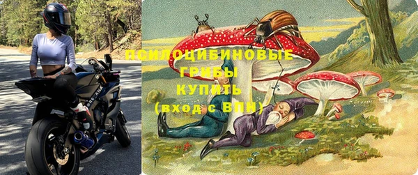 ПСИЛОЦИБИНОВЫЕ ГРИБЫ Елабуга