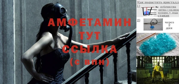 ПСИЛОЦИБИНОВЫЕ ГРИБЫ Елабуга