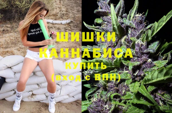 ПСИЛОЦИБИНОВЫЕ ГРИБЫ Елабуга