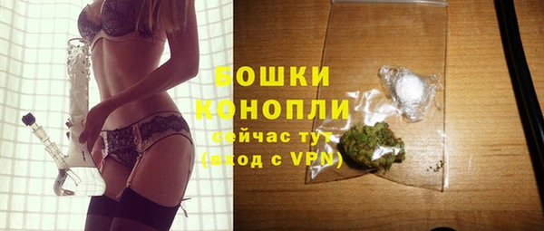 ПСИЛОЦИБИНОВЫЕ ГРИБЫ Елабуга