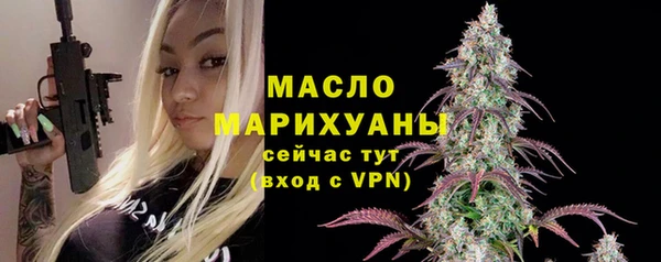 стаф Елизово